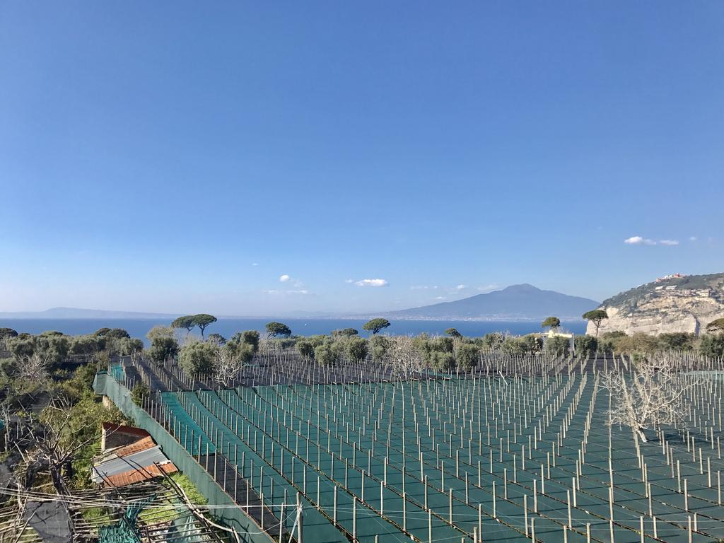 Estate4Home - Villa Lina Sant'Agnello Dış mekan fotoğraf